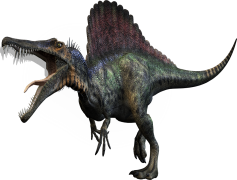 Spinosaurus, Fossil, Predator, Large, Dinosaur PNG