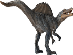 Spinosaurus, Fossil, Unique, Cretaceous, North America PNG