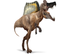 Spinosaurus, Paleontology, Predator, Jurassic, Dinosaur PNG