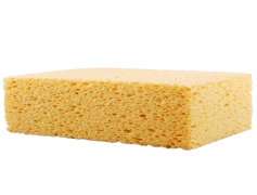 Sponge, Soft, Household, Texture, Absorbent PNG