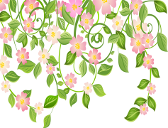 Spring Blossom, Beauty, Nature, Fresh, Season PNG