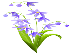 Spring Blossom Flower, Blooming Petals, Springtime Joy, Floral Arrangement, Vibrant Colors PNG