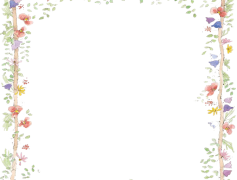 Spring Border, Colorful Edging, Floral Frame, Nature Decor, Vibrant Borders PNG
