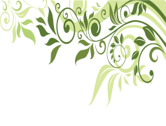 Spring Border, Frame, Seasonal, Nature, Greenery PNG