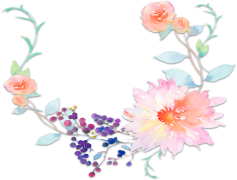 Spring Flower, Vibrant, Garden, Nature, Freshness PNG