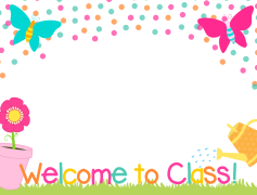 Spring Flowers, Blooming, Nature, Fresh, Vibrant PNG