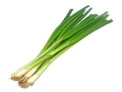 Spring Onions, Green Onions, Scallions, Aromatic, Allium PNG