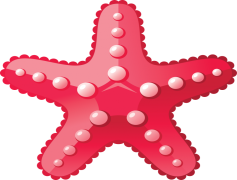 Starfish, Marine, Beach, Sea, Coral PNG
