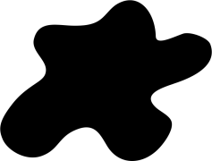 Starfish, Wildlife, Ocean, Coral, Invertebrate PNG