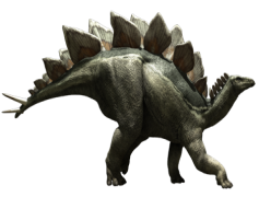 Stegosaurus, Dinosaur, Jurassic, Herbivore, Fossil PNG