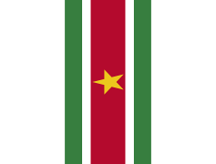 Suriname Flag, National Symbol, Heritage, Red, Yellow PNG