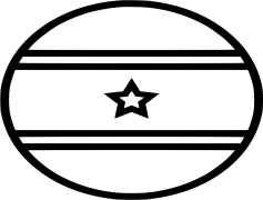 Suriname Flag, South America, Yellow Triangle, Cultural Heritage, Green Stripe PNG