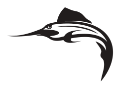 Sword Fish, Aquatic, Species, Seafood, Ocean PNG