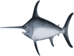 Sword Fish, Marine, Aquatic, Ocean, Predator PNG