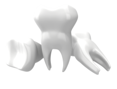 Teeths PNG