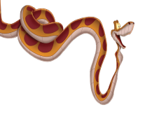 The Jungle Book, Jungle, Shere Khan, Mowgli, Survival PNG