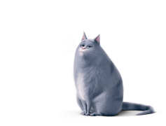 The Secret Life of Pets Chloe, Pets, Adventure, Friendship, Animated PNG