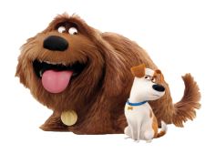 The Secret Life Of Pets, City, Pets, Humor, Secrets PNG