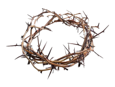Thorns Crown, Symbolism, Strength, Beauty, Protection PNG