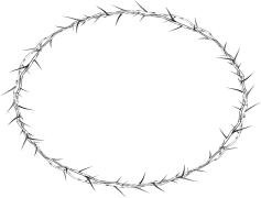 Thorns, Nature, Sharp, Garden, Plants PNG