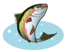 Trout, Wildlife, Fishing, Freshwater, Species PNG