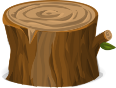 Trunk, Root, Tree, Forest, Nature PNG