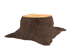 Trunk, Wood, Bark, Nature, Tree PNG