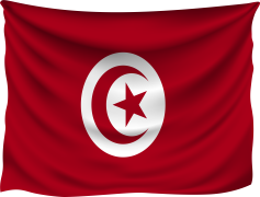 Tunisia Flag, Star, North Africa, Red Crescent, Patriotism PNG