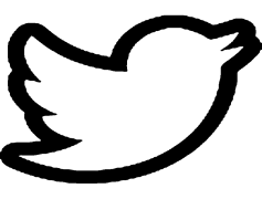 Twitter, Media, Platform, Trends, Social PNG