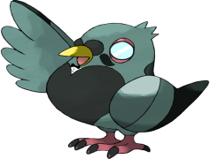 Unfezant Pokemon, Normal Type, Evolution, Flying Type, Male Form PNG