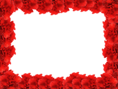 Valentines Day Border Flower, Floral Frame, Love Theme, Romantic Decoration, Heart Motif PNG