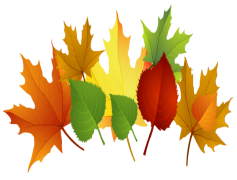 Vector Autumn Leaf, Nature, Seasonal, Fall, Maple PNG