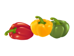Vector Bell Pepper, Healthy Eating, Fresh Produce, Nutritional Value, Colorful Vegetable PNG