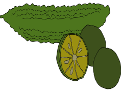Vector Bitter Gourd, Green, Healthy, Nutrition, Bitter PNG