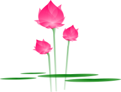 Vector Lotus Flower, Meditation Art, Spiritual Element, Water Plant, Zen Aesthetic PNG