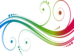 Vector Transparent PNG