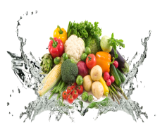 Vegetable Transparent Background