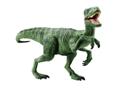 Velociraptor, Cretaceous, Predator, Swift, Fossil PNG