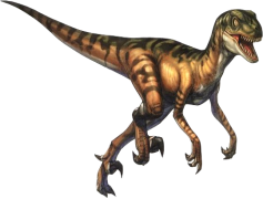 Velociraptor, Dinosaur, Extinct, Claws, Agile PNG