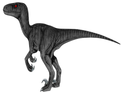 Velociraptor, Fossil, Jurassic, Cretaceous, Claws PNG