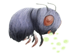 Venonat Pokemon, Pokémon Species, Psychic Resistance, Bug Type, Poison Type PNG