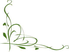 Vine, Nature, Plant, Twine, Organic PNG