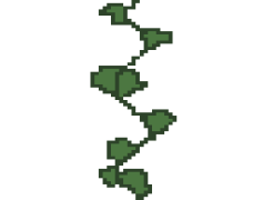 Vine, Plant, Nature, Foliage, Growth PNG