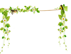 Vine, Twine, Nature, Greenery, Plant PNG