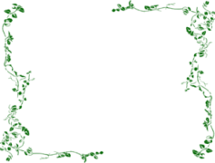 Vine, Vineyards, Plant, Foliage, Greenery PNG