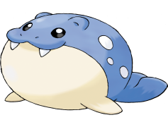 Wailmer Pokemon, Whale Pokémon, Evolutionary Stage, Water Type, Large Size PNG