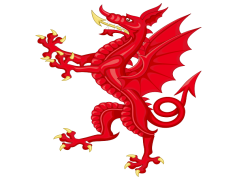 Wales Flag, Green, Red, Heritage, White PNG