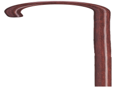 Walking Stick, Support, Assistive Device, Handheld Tool, Mobility Aid PNG