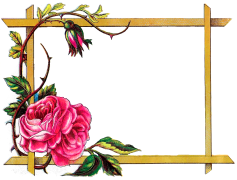 Wedding Floral Border, Floral Arrangements, Bridal Bliss, Celebration Decor, Cherished Moments PNG