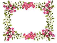 Wedding Floral Border, Romantic Accents, Celebration Decor, Elegant Flowers, Bridal Elements PNG